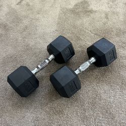 20lb dumbbell weights (set of 2)