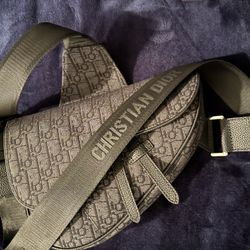 Dior Saddle Bag 