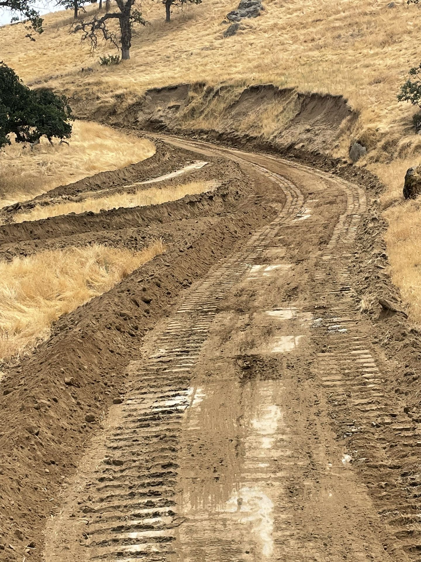 Rectors Dozer Work