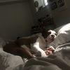 Betty X