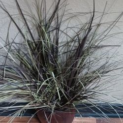 Fake Plant Decoration 