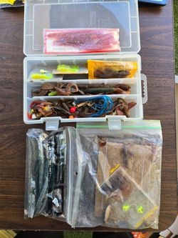 Fishing Worm Lot
