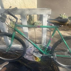 Specialized Rockhopper Mountain Bike – Runs Good