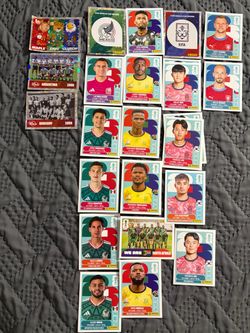 Panini World Cup Stickers