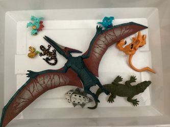 Random toys