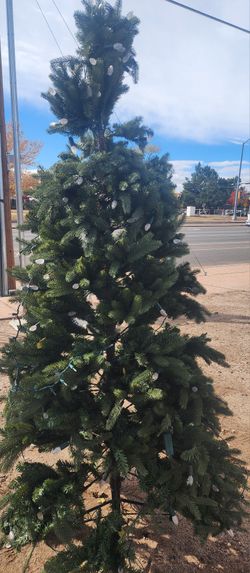 Christmas Tree 7 Feet