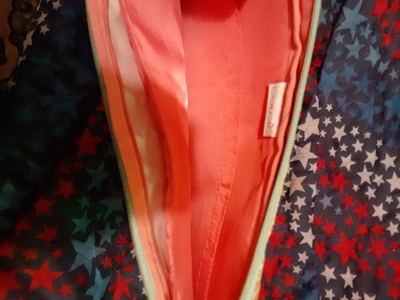 Laptop Carrying Case $25.00 Cash Only (Serious Buyers)