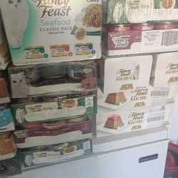 Cat food/Kitten 