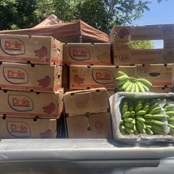 Baby Bananas 