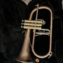 Brand New Blessing Flugel Horn 154RT With Case , Gold Plated Mp.