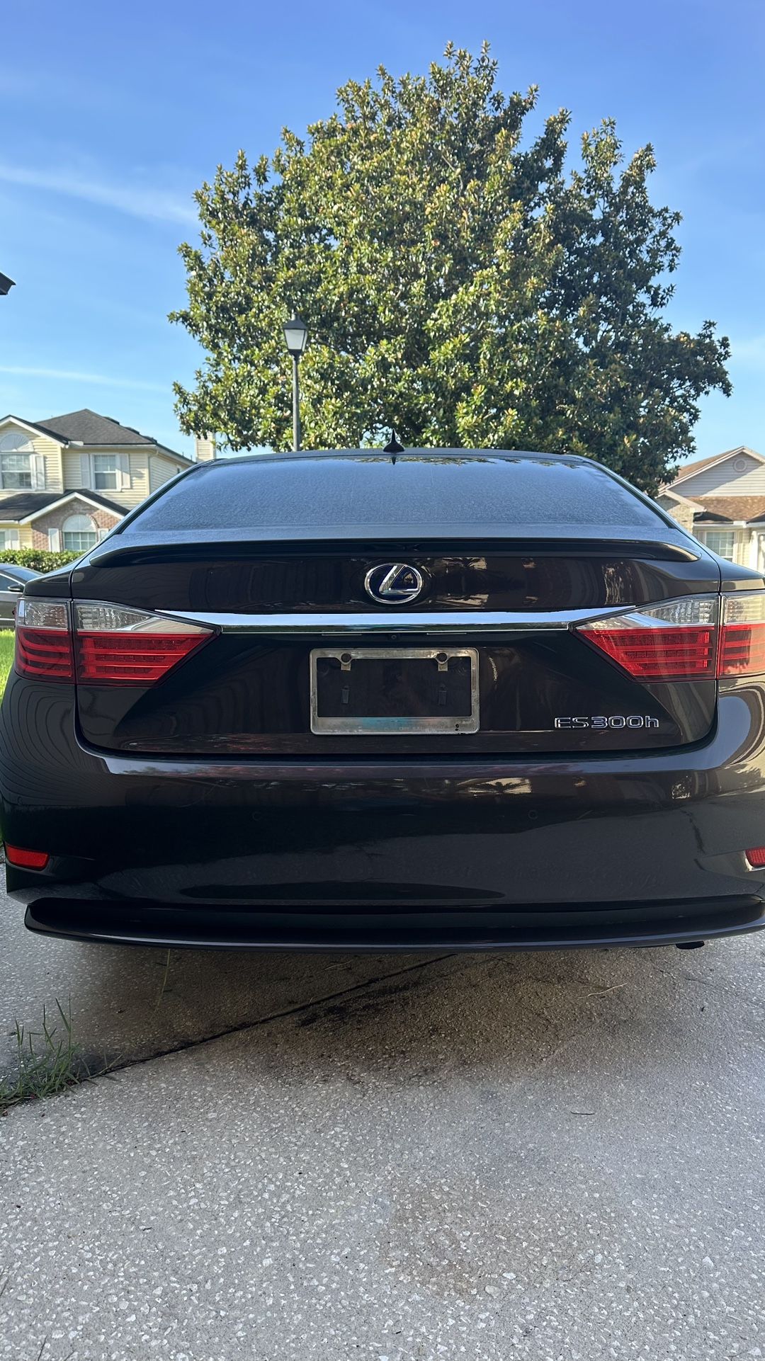 2014 Lexus ES 300h