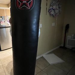 punching bag 