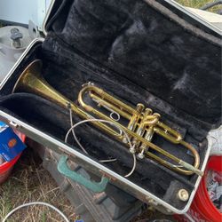 Trumpet 🎺 