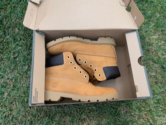 Timberland 6in Classic BT Wheat NB size-5.5 juniors