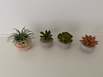 Small artificial succulents