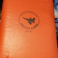 handheld martial arts striking, kicking, punching,  or football blocking pad, $24