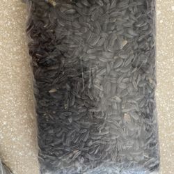 Semilla Comida Para Pájaros 