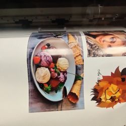 Roland TrueVIS SG2-300 Printer & Cutter