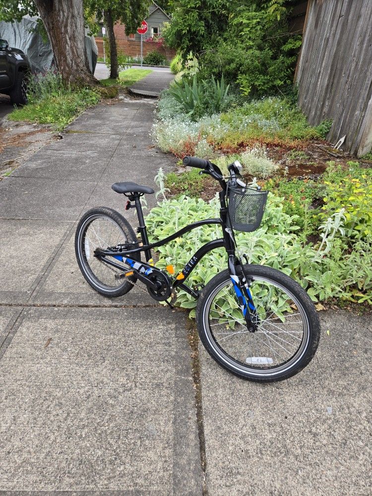 Kids 20" Electra Bike