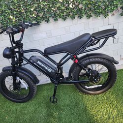 Electric Bike 