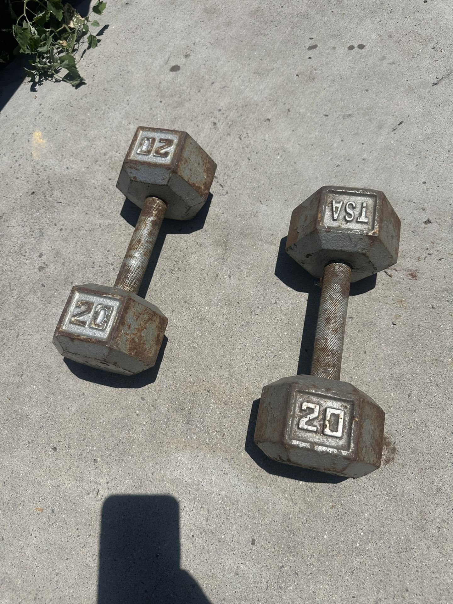 20 Pound Dumbbells