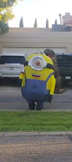 Minions Inflatable 