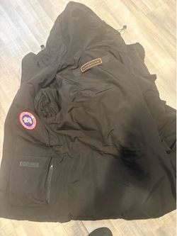 canada goose