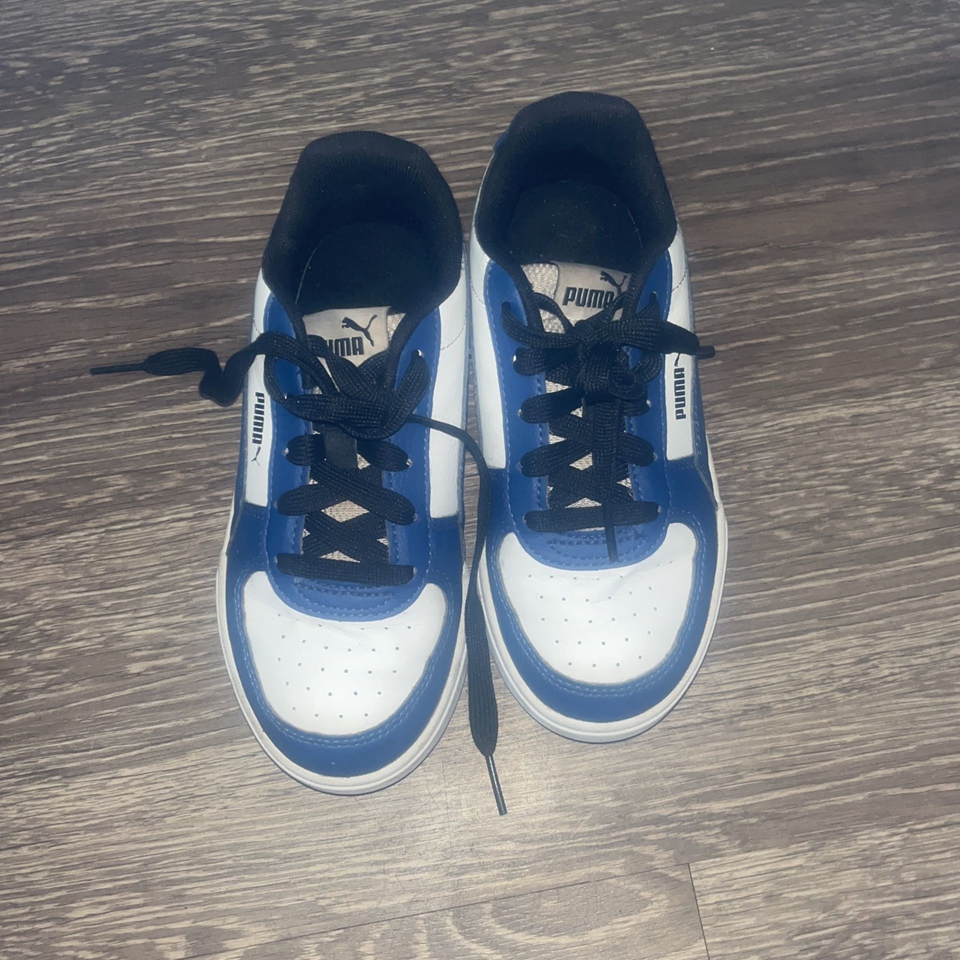 Blue And White Puma