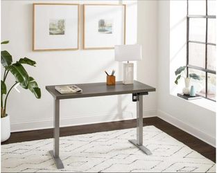 Electric  Sit/Stand Desk