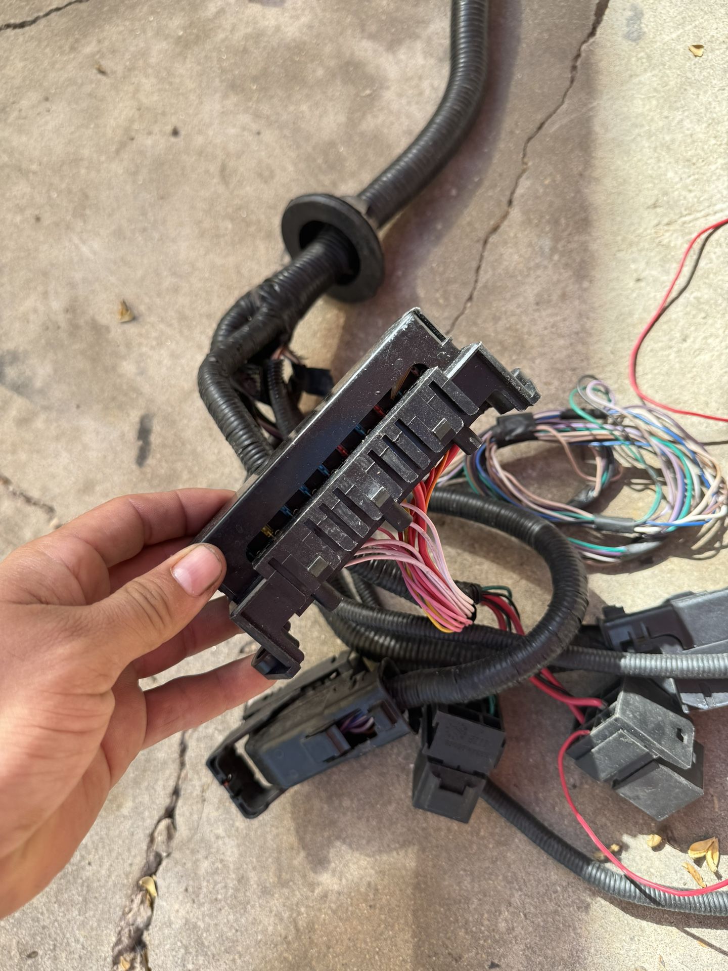 LS Harness for Sale in San Antonio, TX OfferUp