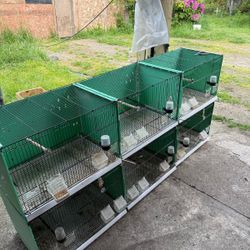 Breeding Bird Cages 