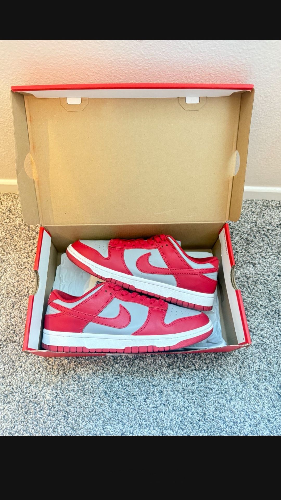 Nike Dunk Men Size 8