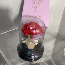 Mother’s Day Preserved Flower 4 LIGHT MODES 10 “