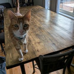 Large Wooden Dining Table
