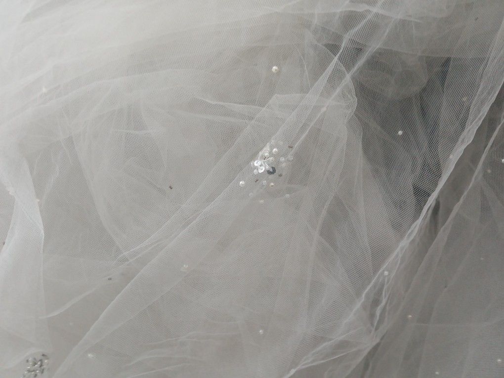 Wedding Dress Train