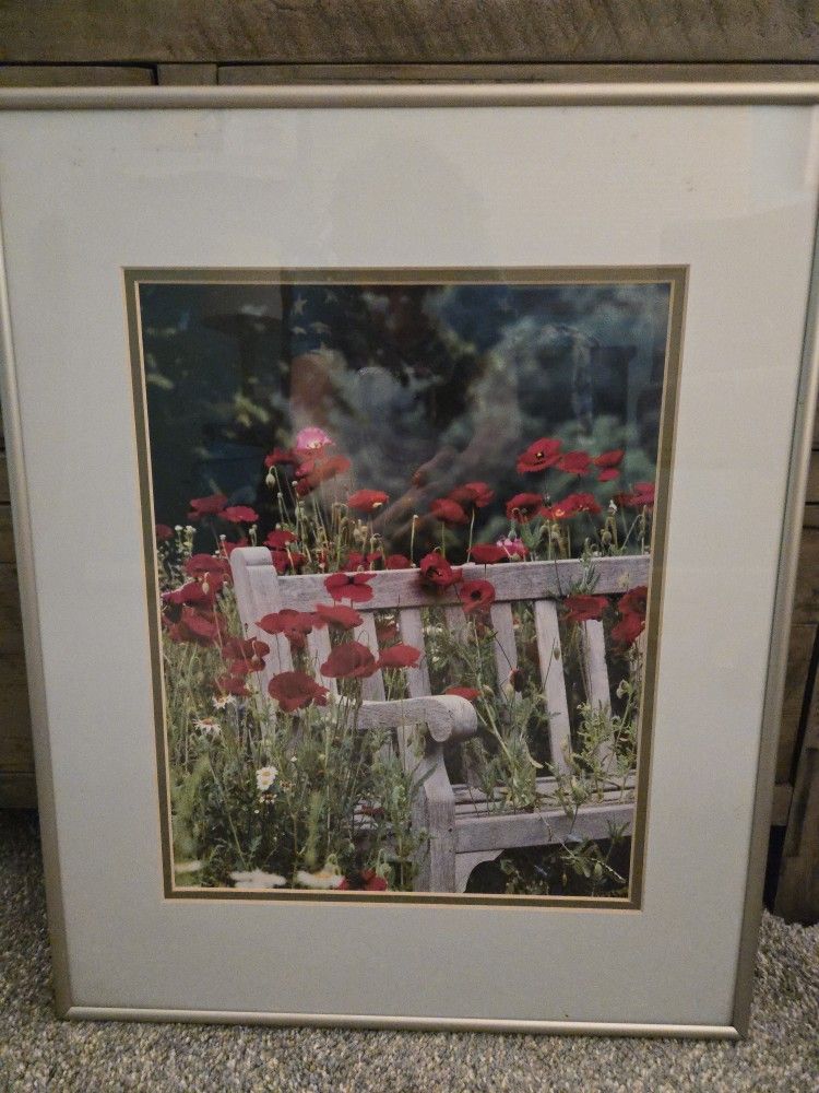 Red Flowers And Wooden Bench.