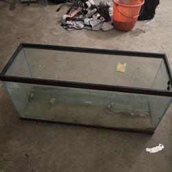 Fishtank(check Description)