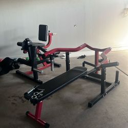 Bench Press And Leg Curl 