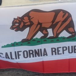 California Republic Flag Banners 