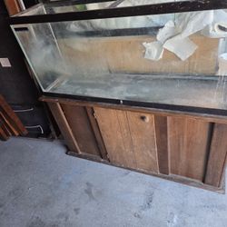 Nicely Designed 75 Gal Aquarium And  Stnd