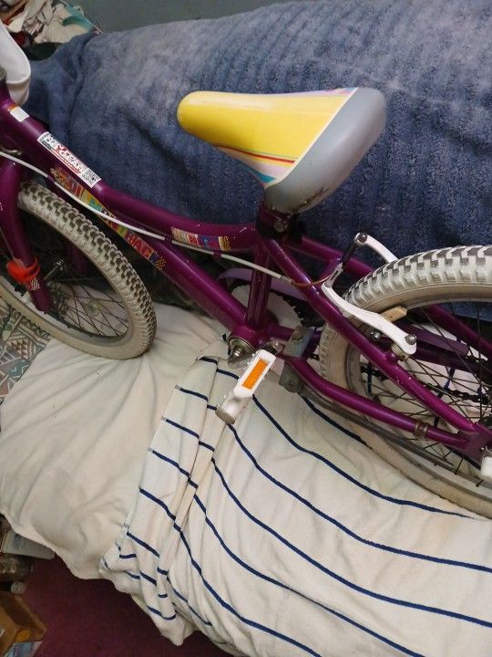 20" Girls Diamondback Bike