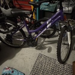 24 Inch 18 Speed Mountain Bike 