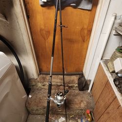 10ft Fishing Pole