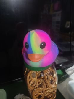 Squish duck