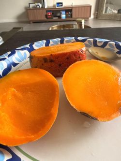 MANGOS ORGANICOS DE MI PATIO 10 POR $7