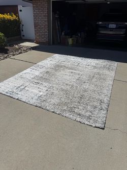 Large Gray and White Shag Area Rug