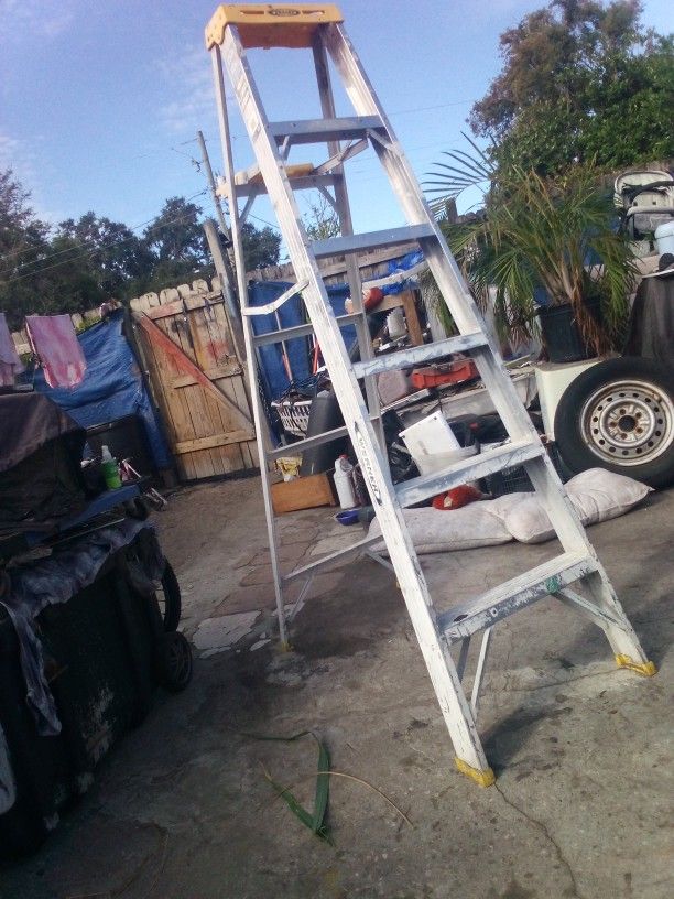 6ft Werner Ladder