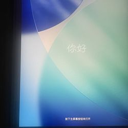 iPad Mini 5th Gen WiFi + Cellular 