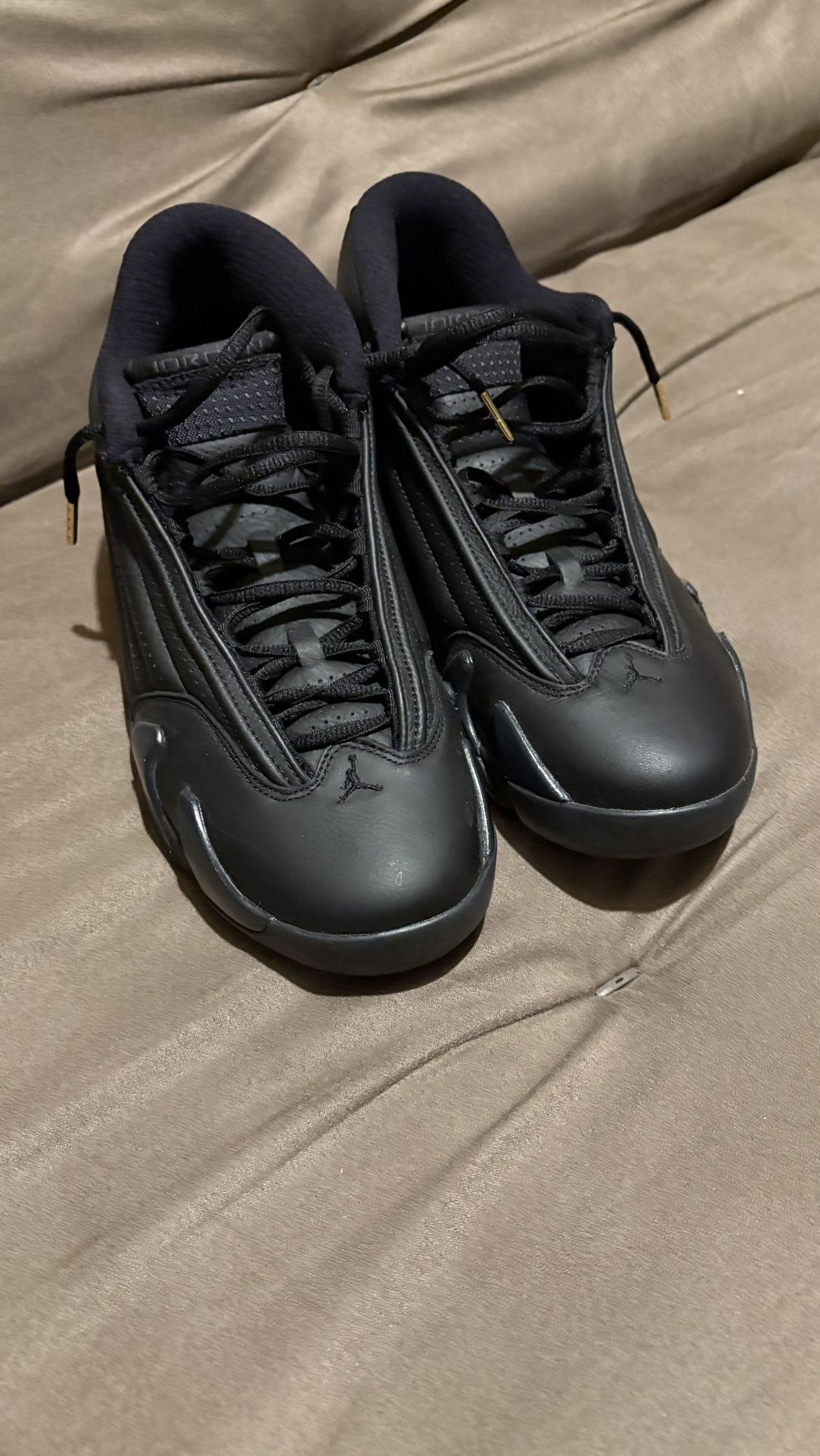 Jordan 14 XIV DMP