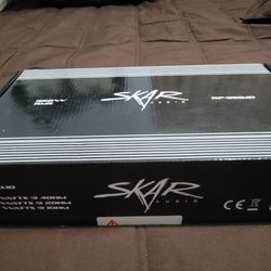 Skar Audio RP-350.1D Amp.